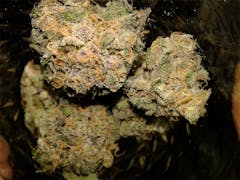 User uploaded image of Plushberry