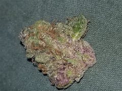 User uploaded image of Plushberry