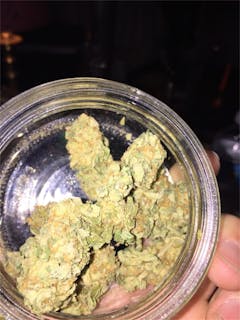 User uploaded image of Pluto Kush