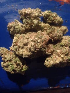 User uploaded image of Pluto Kush