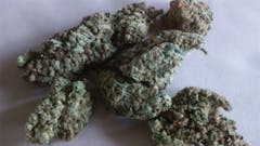 User uploaded image of Pluto Kush