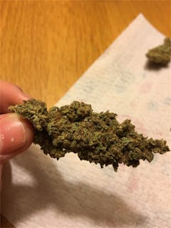 User uploaded image of Poison Haze
