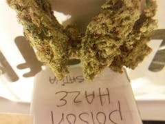 User uploaded image of Poison Haze