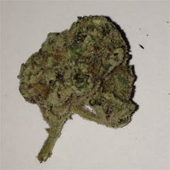 User uploaded image of Pokie