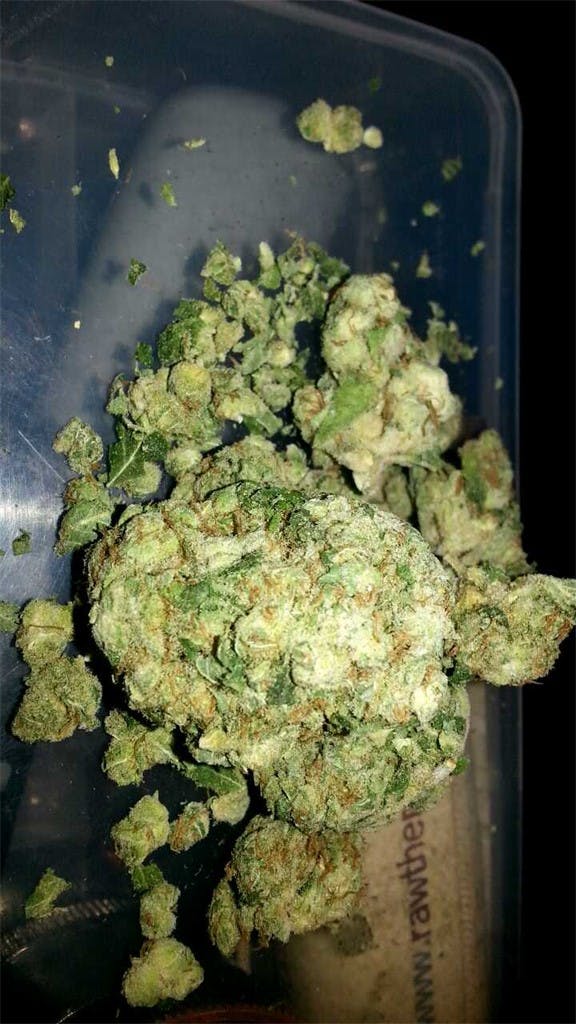 Photos of Popcorn Kush Weed Strain Buds Leafly