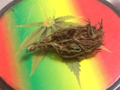 User uploaded image of Pot of Gold