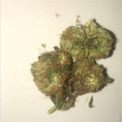 User uploaded image of Pot of Gold