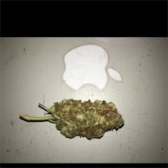 User uploaded image of Power Kush