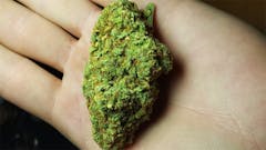 User uploaded image of Power Kush