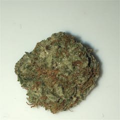 User uploaded image of Power Plant