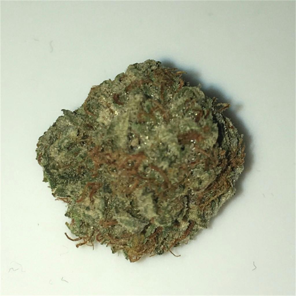 Power Plant Weed Strain Information Leafly