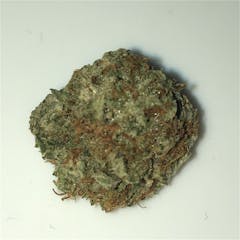 User uploaded image of Power Plant