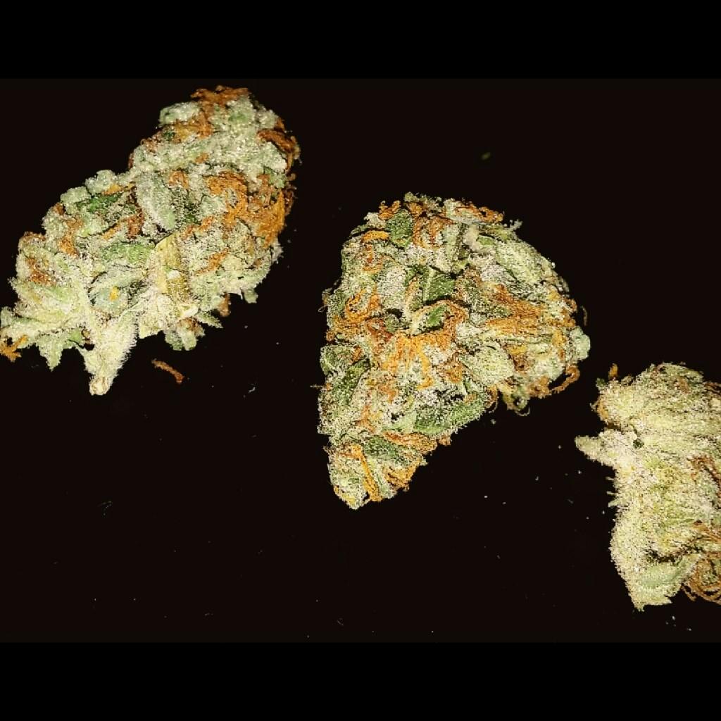 Power Plant Weed Strain Information Leafly