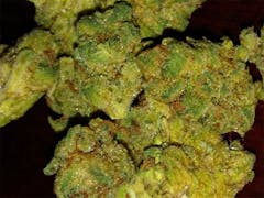 User uploaded image of Pre-98 Bubba Kush