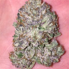 User uploaded image of Pre-98 Bubba Kush