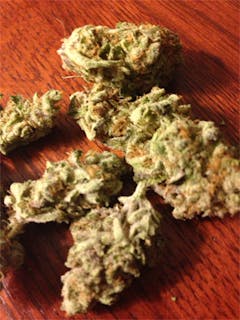 User uploaded image of Predator Pink