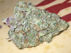 User uploaded image of Predator Pink