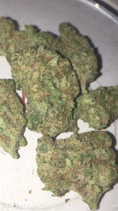 User uploaded image of Predator Pink