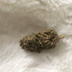 User uploaded image of Presidential OG