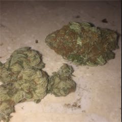 User uploaded image of Presidential OG