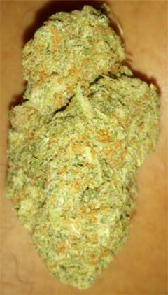 User uploaded image of Presidential OG