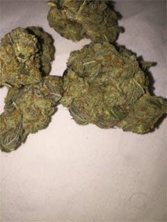 User uploaded image of Primus