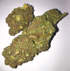 User uploaded image of Primus