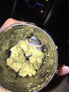 User uploaded image of Primus