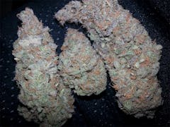 User uploaded image of Professor Chaos