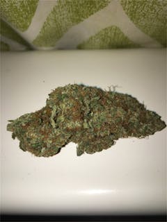 User uploaded image of Professor Chaos