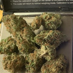 User uploaded image of Puck Yeah