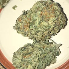 User uploaded image of Puna Budder