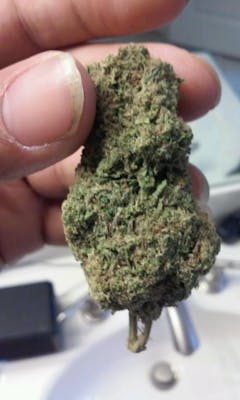 User uploaded image of Pure Afghan