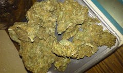 User uploaded image of Pure Afghan