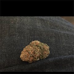 User uploaded image of Pure Afghan