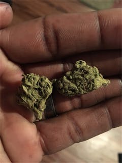 User uploaded image of Pure Afghan