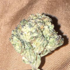 User uploaded image of Pure Kush