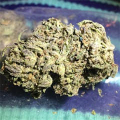 User uploaded image of Pure Kush