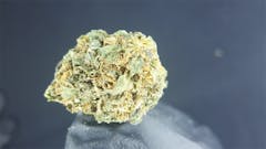 User uploaded image of Pure Love