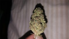 User uploaded image of Pure OG
