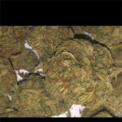 User uploaded image of Pure OG