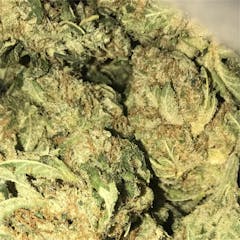 User uploaded image of Pure Power Plant