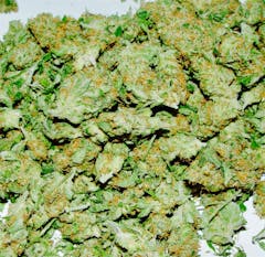 User uploaded image of Pure Power Plant