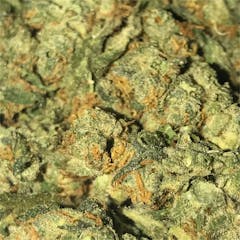 User uploaded image of Pure Power Plant