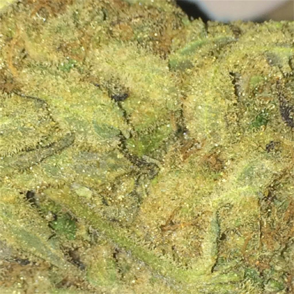 Pure Power Plant aka PPP Weed Strain Information Leafly