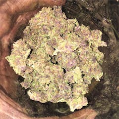 User uploaded image of Purple Afghani
