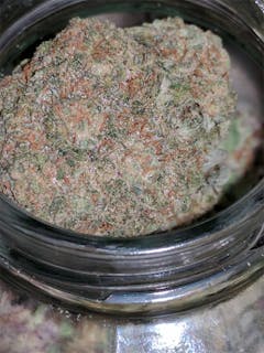 User uploaded image of Purple Afghani