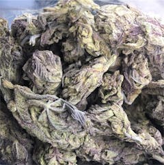 User uploaded image of Purple Afghani