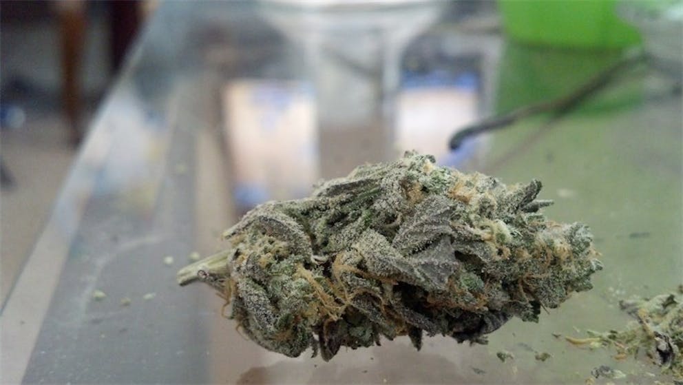 Photos Of Purple Ak 47 Weed Strain Buds Leafly