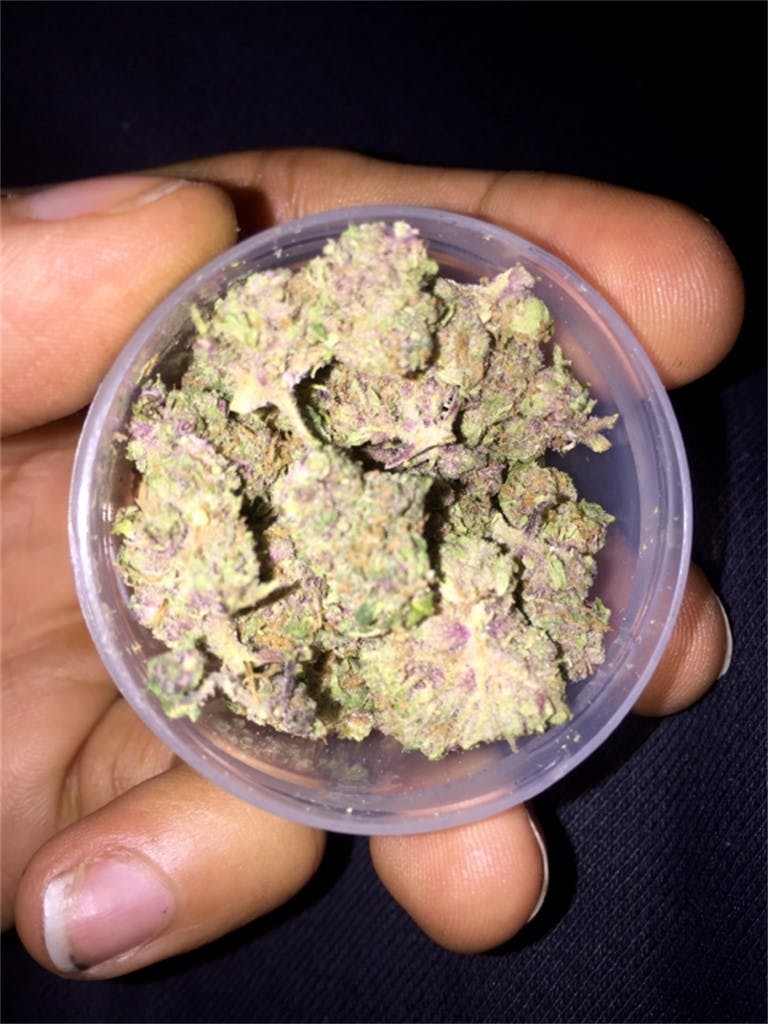 Purple Ak 47 Weed Strain Information Leafly